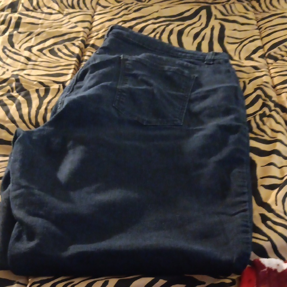 Women Blue Denim Pants